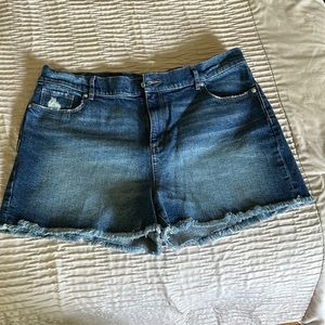 LOFT SHORTS
